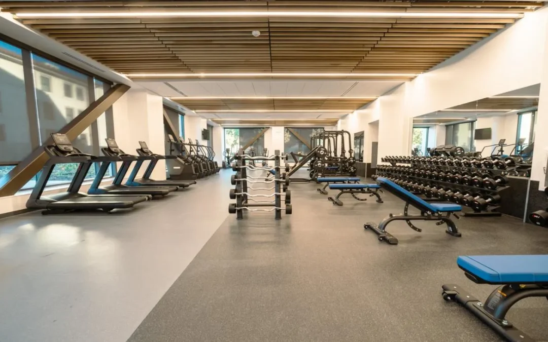 Commercial Gym Layout Design Services